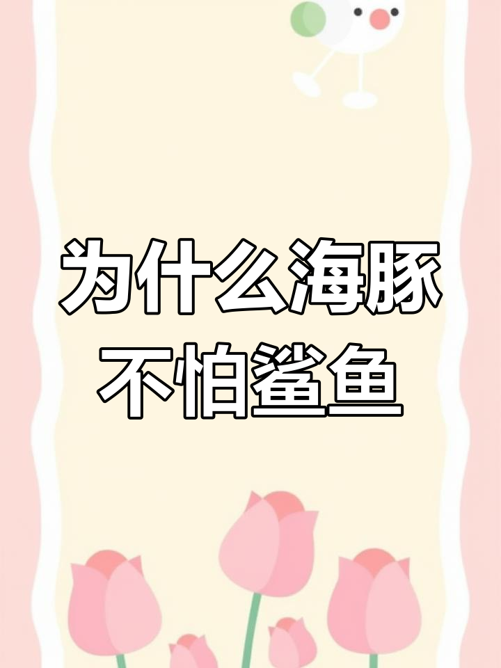 海豚为何敢挑战鲨鱼?揭秘海豚的独特优势