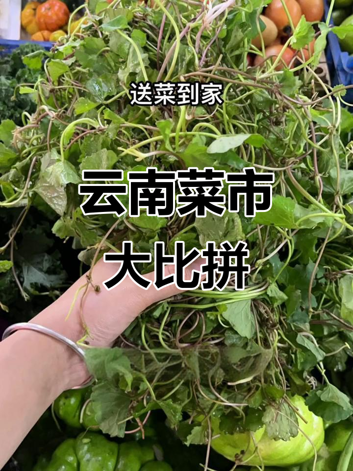 云南菜市场挑战全国,送货到家!