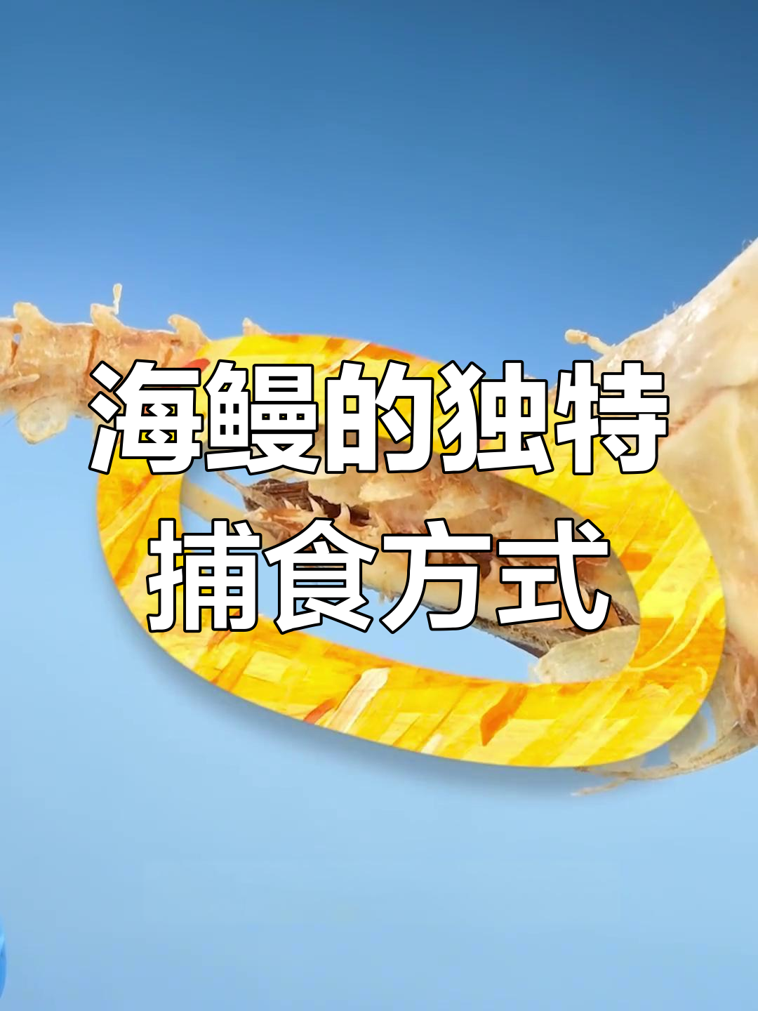 海鳗捕食秘密:喉咙里的奇怪骨头竟然有这么大作用