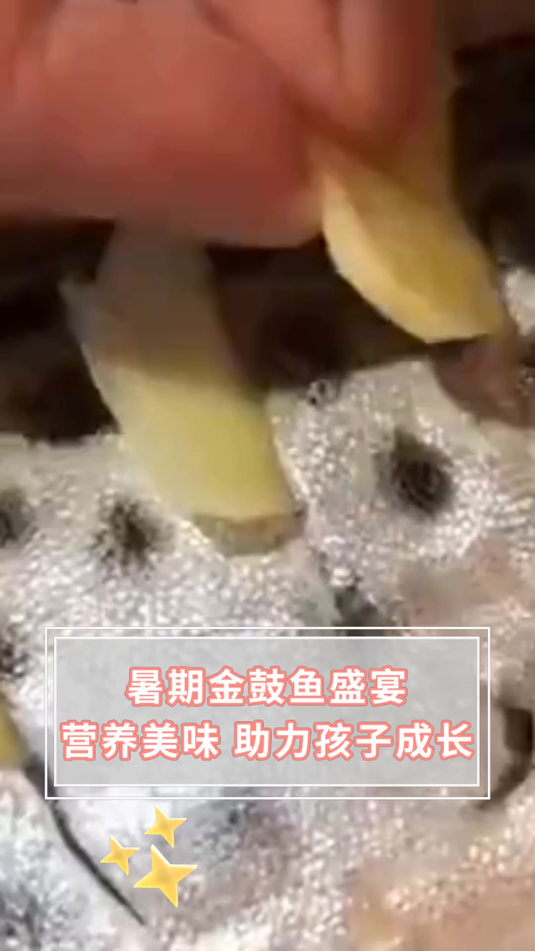 暑期金鼓鱼盛宴 营养美味 助力孩子成长