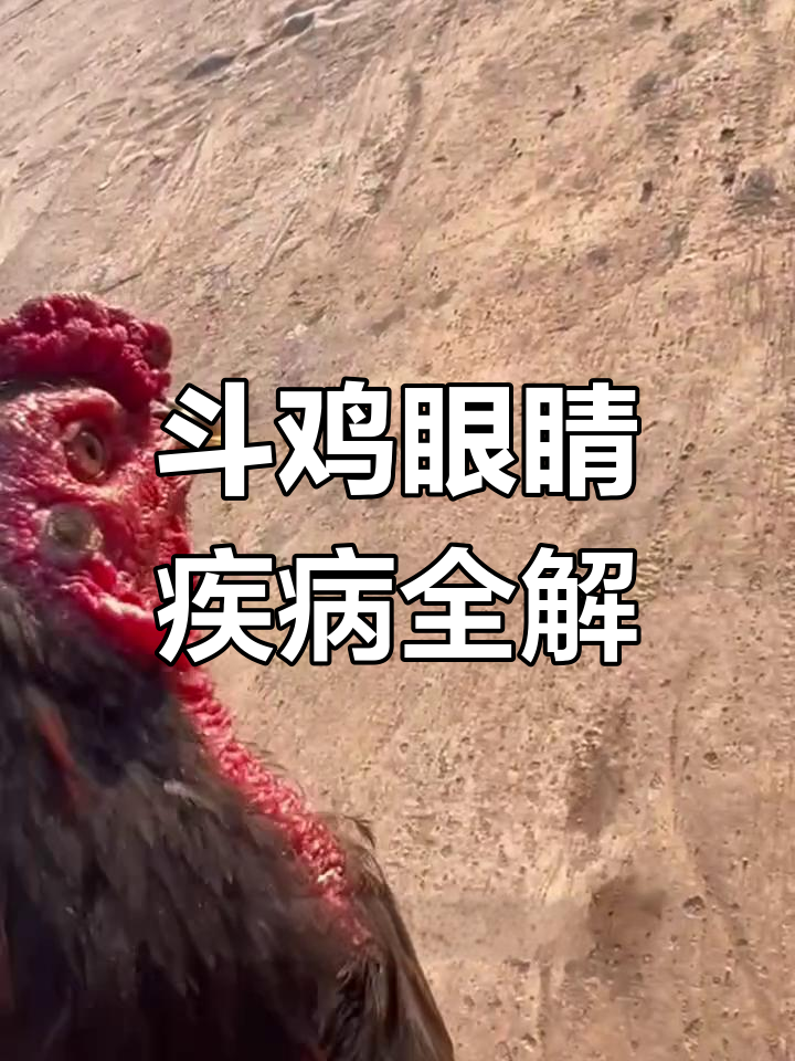 斗鸡眼疾如何治疗?白膜、冒泡问题一网打尽!