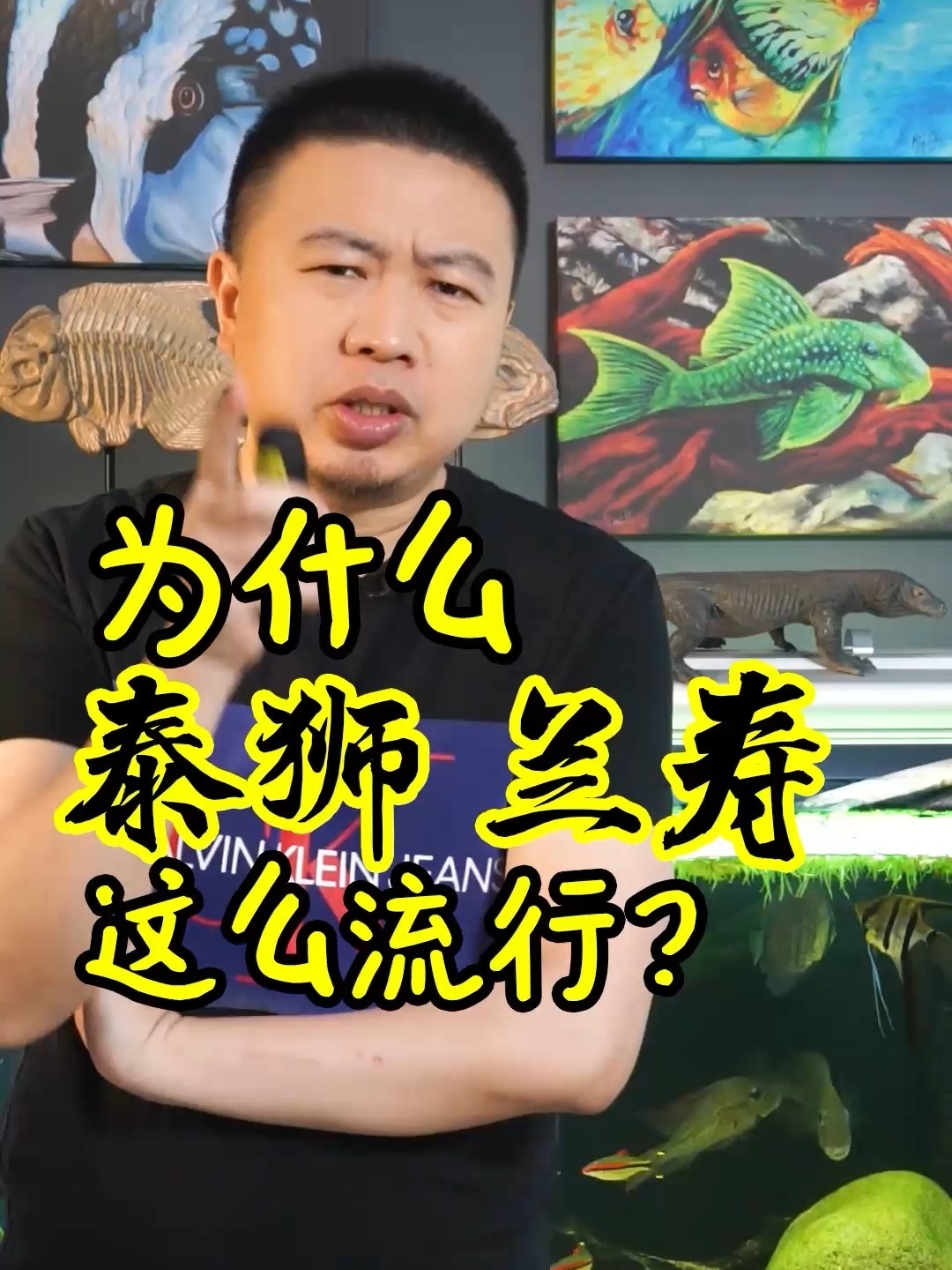 越来越多人喜欢兰寿泰狮,传统金鱼没人养?