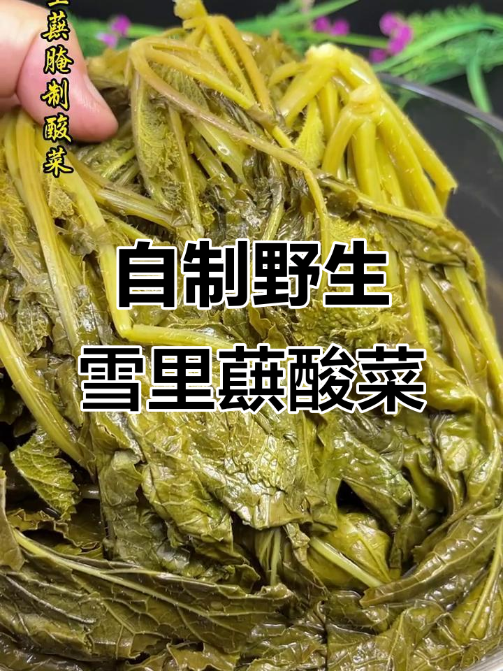 野生雪里红酸菜,简单腌制两天就能吃!