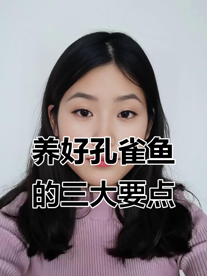 孔雀鱼养殖三大禁忌,新手必看!