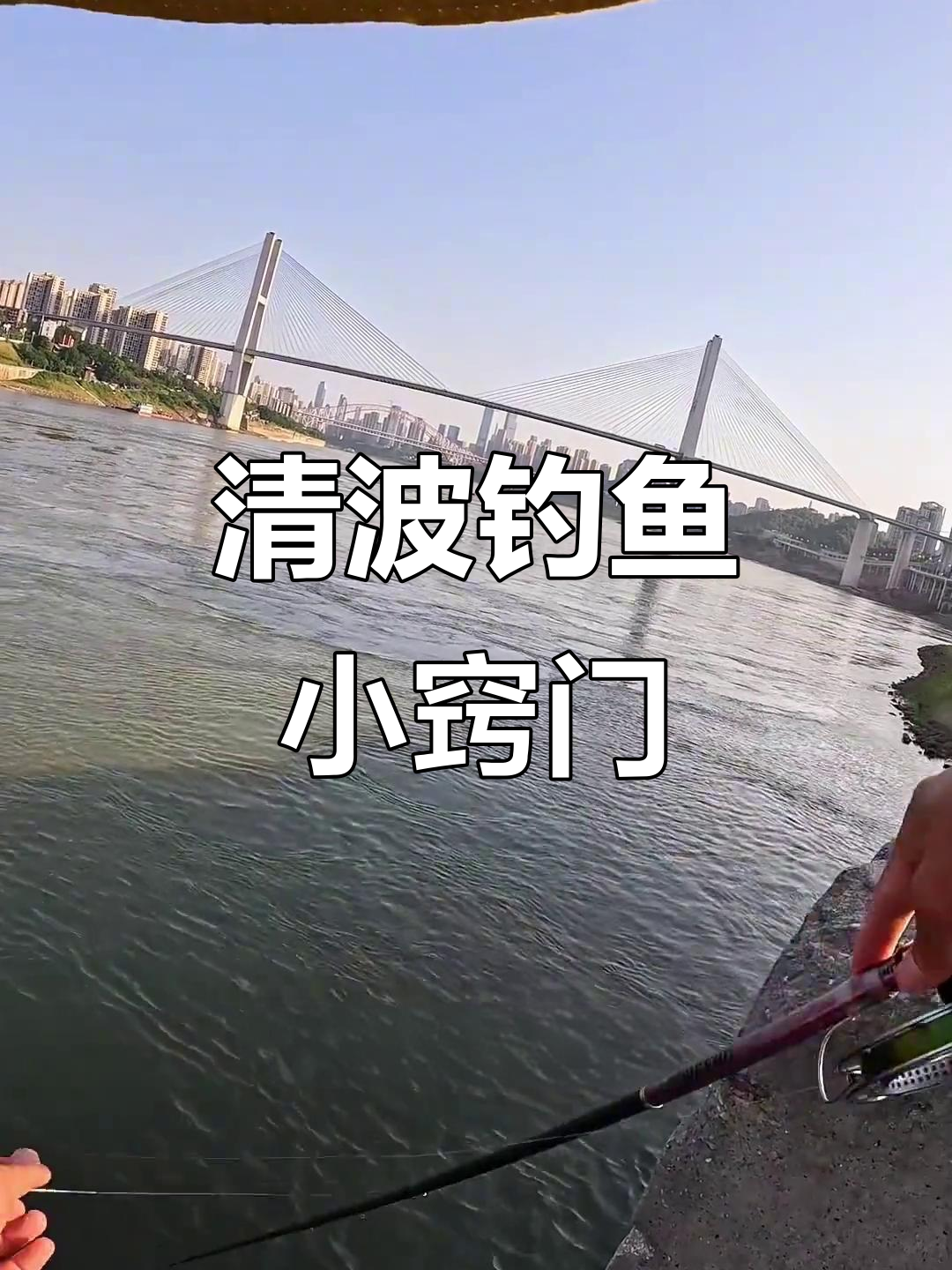钓清波鱼必备技巧,简单饵料轻松搞定