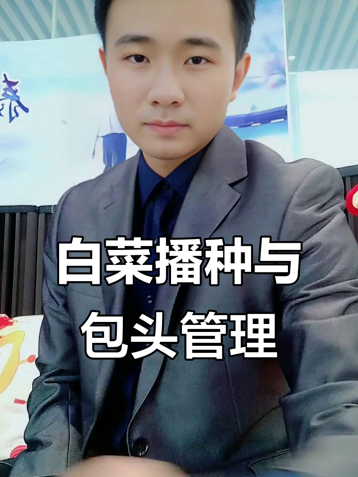白菜种植技巧：如何避免包头问题，提高产量
