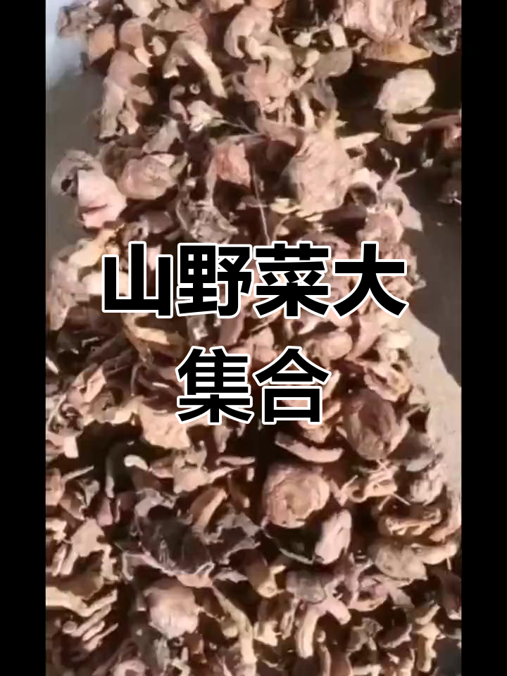野生山珍,东北风味