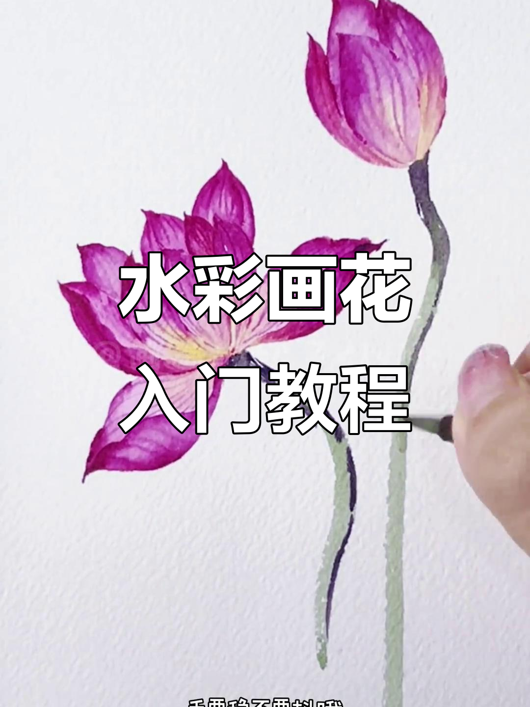 从零开始学水彩,轻松画出美丽荷花!
