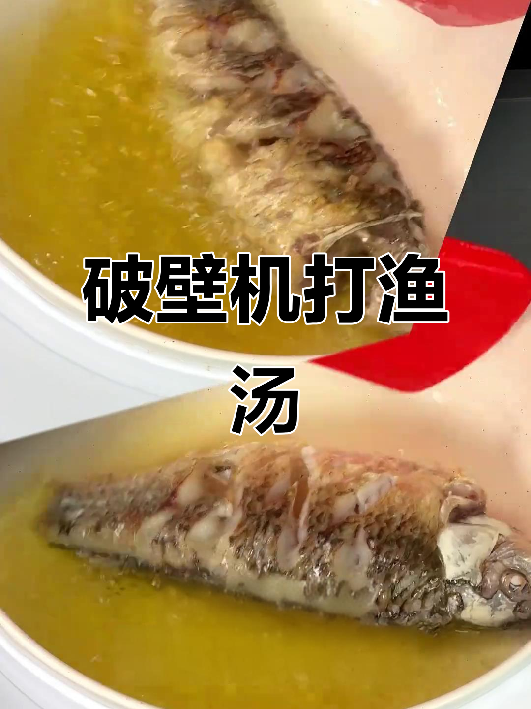 破壁机做鱼汤,轻松去腥提鲜,奶白丝滑超适合孕妈妈