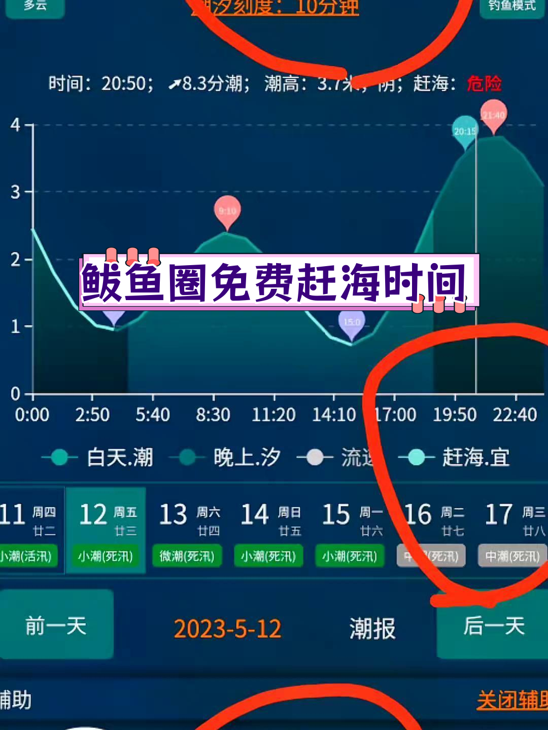 鲅鱼圈赶海潮汐表,最佳时机大公开