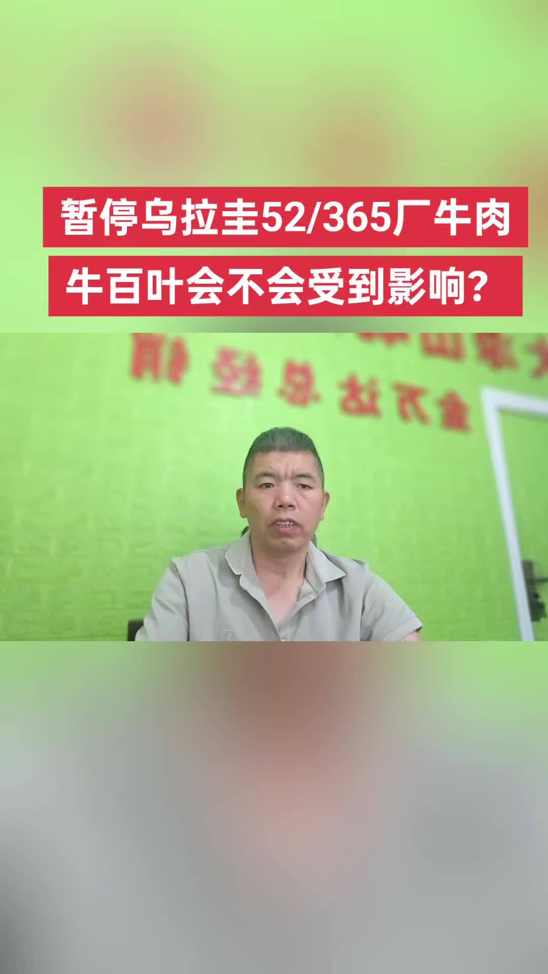 乌拉圭暂停52厂、365厂的牛肉进口,牛百叶受影响吗?乌拉圭牛百叶 379牛百叶