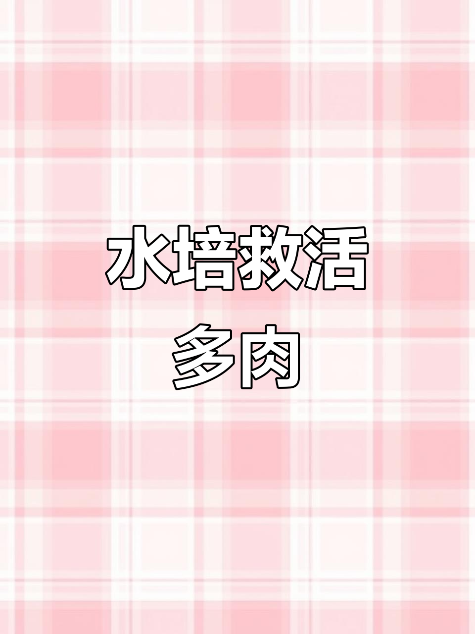 徒长的多肉剪下,水培轻松复活!