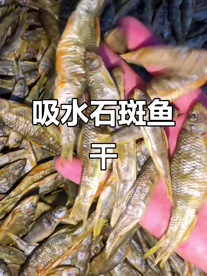 正宗溪水石斑鱼干,花纹清晰去内脏干净