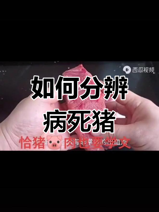 揭秘肉贩子的秘密:如何辨别病死猪肉与正常肉的差别