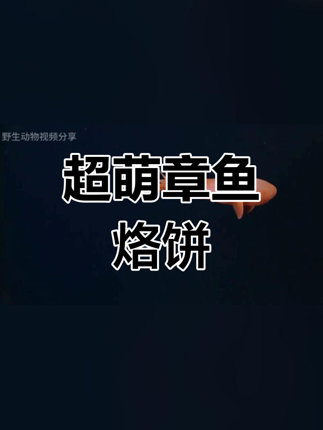可爱章鱼烙饼,萌态十足