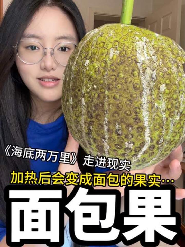 传闻中的面包果测评！《海底两万里》走进现实～