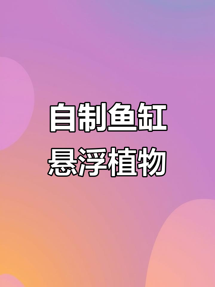 鱼缸边悬浮植物DIY，打造高颜值水族景观