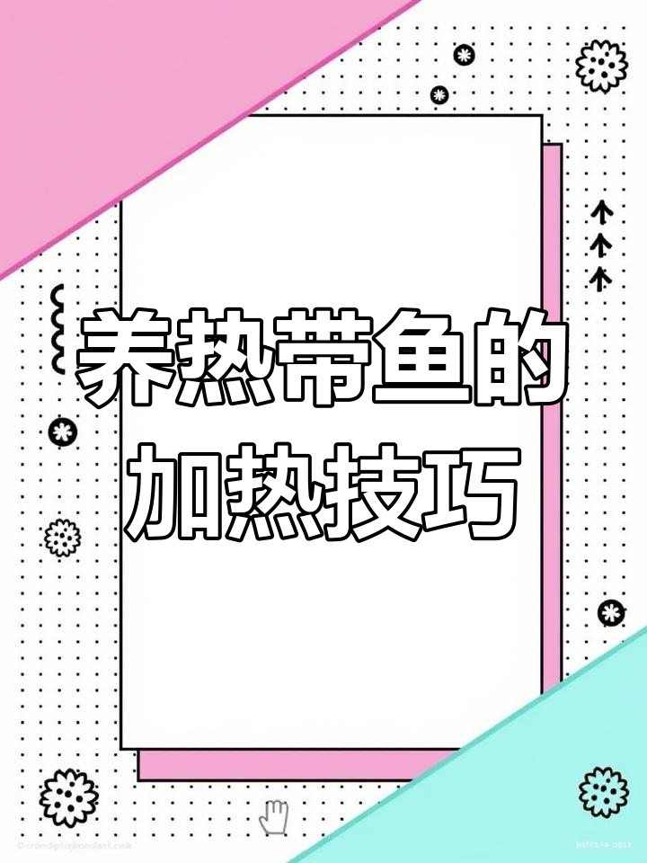 北方降温,热带鱼如何应对白点病?升温是关键