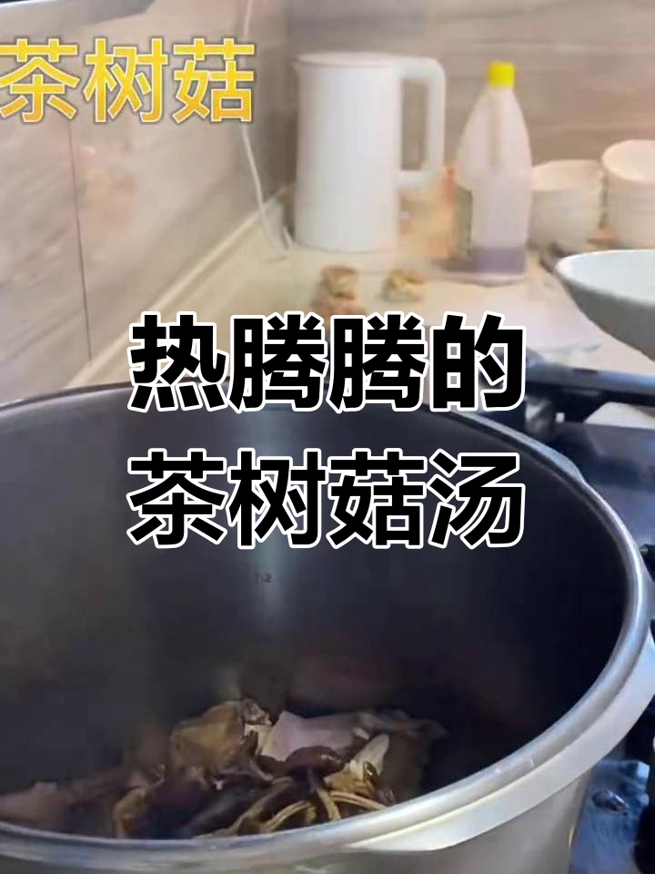 茶树菇老鸭汤,滋补又美味