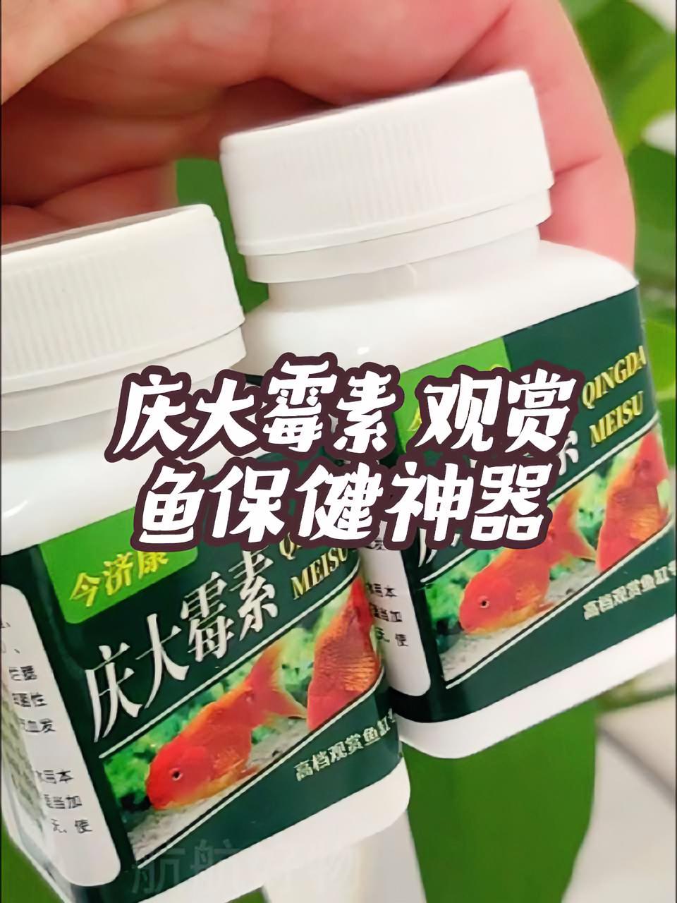 庆大霉素炸鳞立鳞烂鳃烂尾白毛白点观赏鱼淡水鱼龙鱼海水鱼 庆大霉素 烂尾烂鳃 养鱼人 观赏鱼