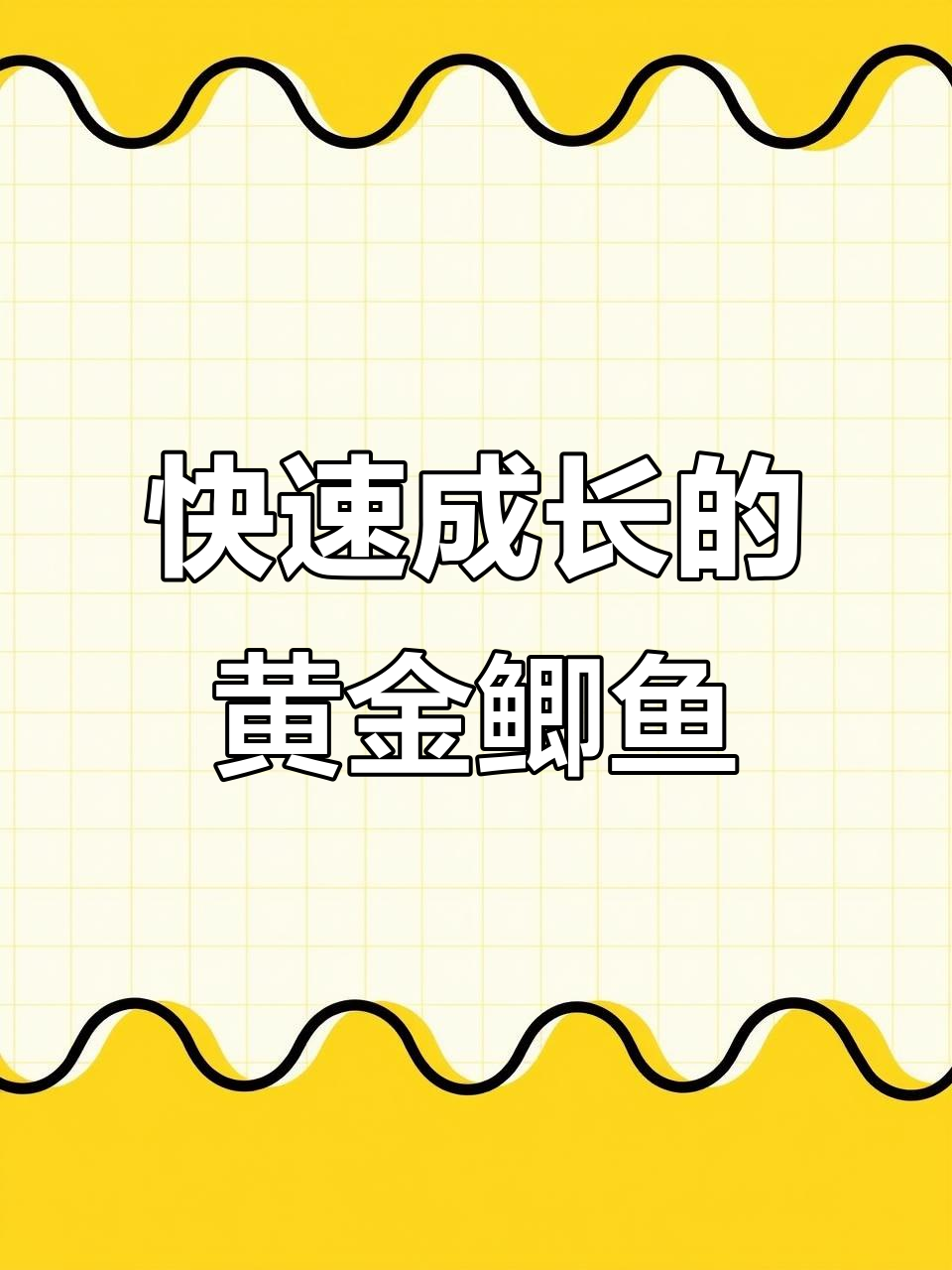 黄金鲫鱼苗:生长迅速,抗病力强,一年可长53斤