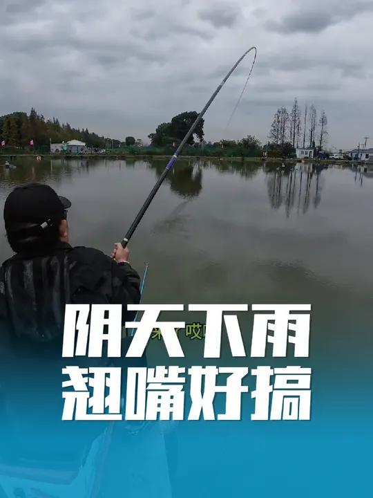 最适合冬天的钓鱼经验来了,阴天下雨,再刮风!翘嘴最好搞了!这开杆鱼,把我鱼运捡没了……最适