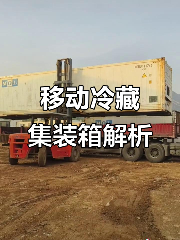 集装箱冷库内部揭秘:保鲜与冷冻完美结合