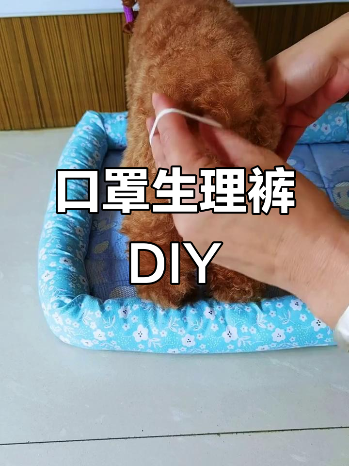 口罩生理裤制作教程,透气又实用,快来掌握!