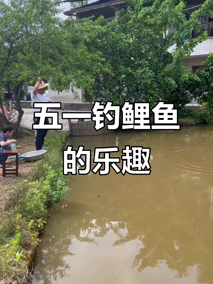 五一钓鱼趣事:鲤鱼上钩,搞笑瞬间不断