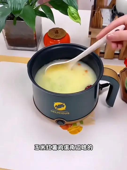 多功能电煮锅,迷你小火锅 煎鸡蛋面条小电锅