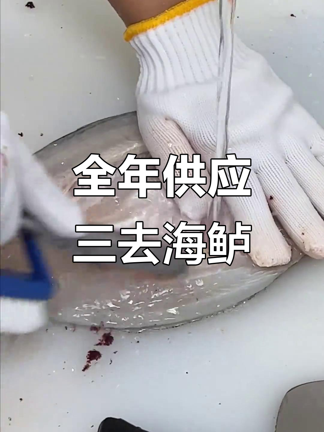 三去海鲈鱼,全年供应各渠道,清洗冷冻确保新鲜