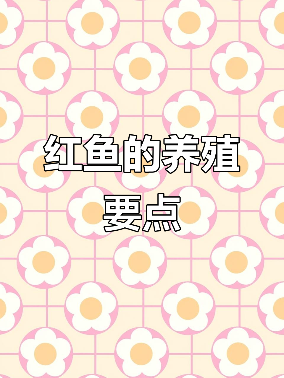 红鱼饲养全攻略:水质、温度、喂食技巧一网打尽