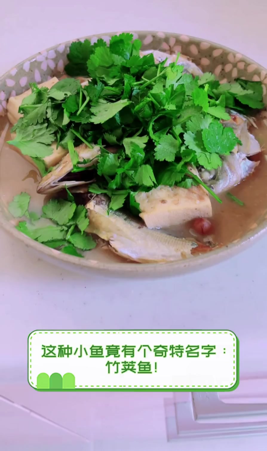 这种小鱼竟有个奇特名字:竹荚鱼!