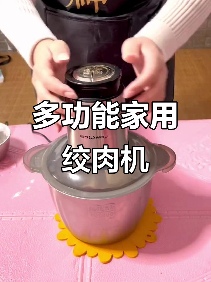 家用小型绞肉机,多功能打馅碎菜,方便快捷