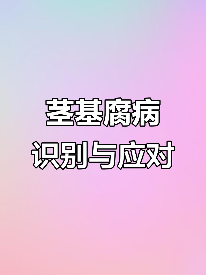 茎基腐病早期症状与防治方法,农户必看