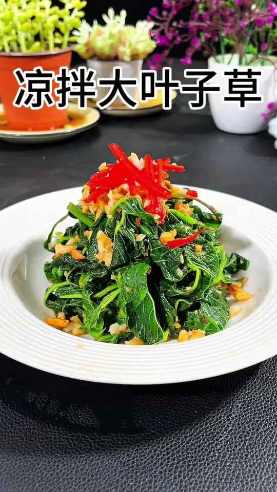 从春天到秋天一直都有吃不完的野菜,今天采摘了一点大叶子草,吃起来清淡爽口真不错!