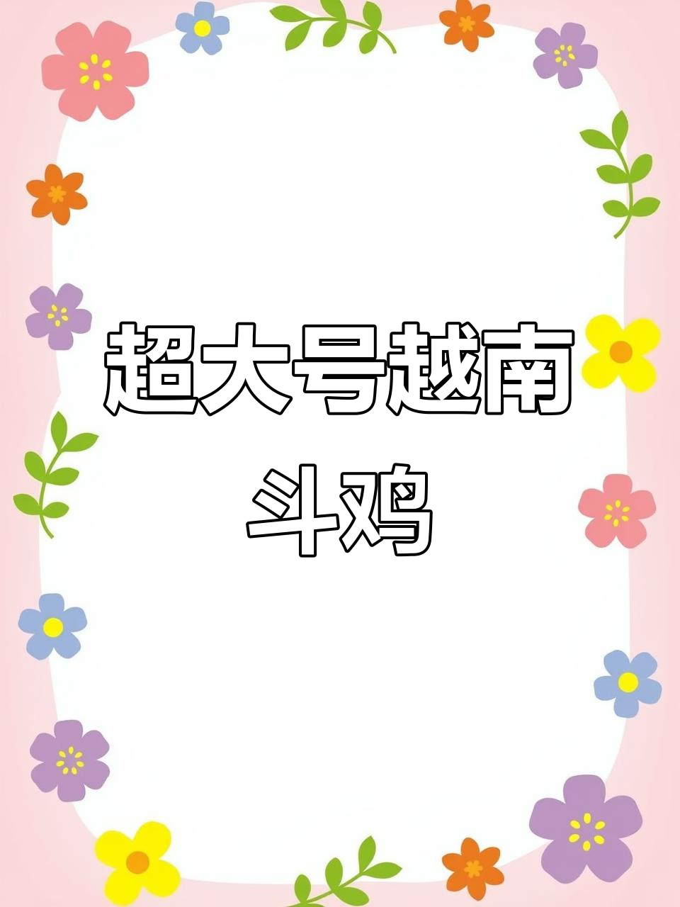 8斤9两超大越南斗鸡，前胸宽大、毛量惊人