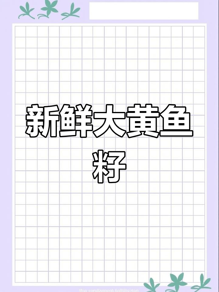 大黄鱼籽鲜美尝味