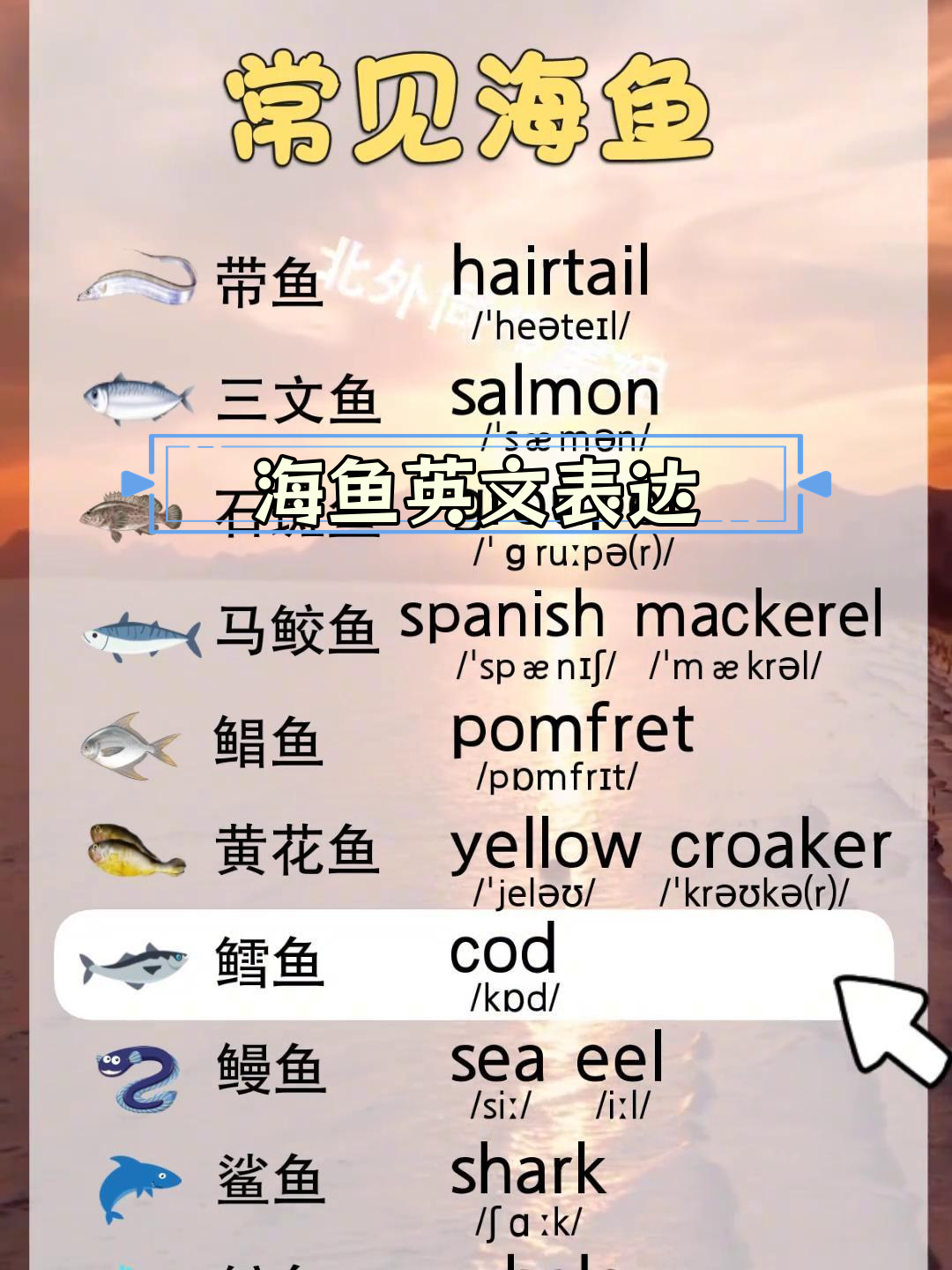 常见海鱼英语词汇汇总