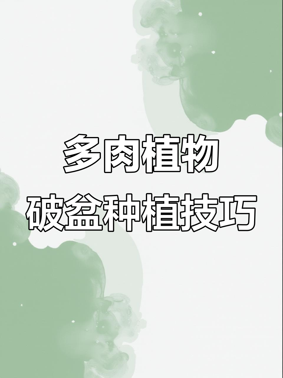 破盆变美,多肉植物搭配教程大公开