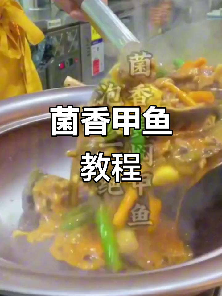 菌香甲鱼做法大揭秘,高清视频与配方全分享!