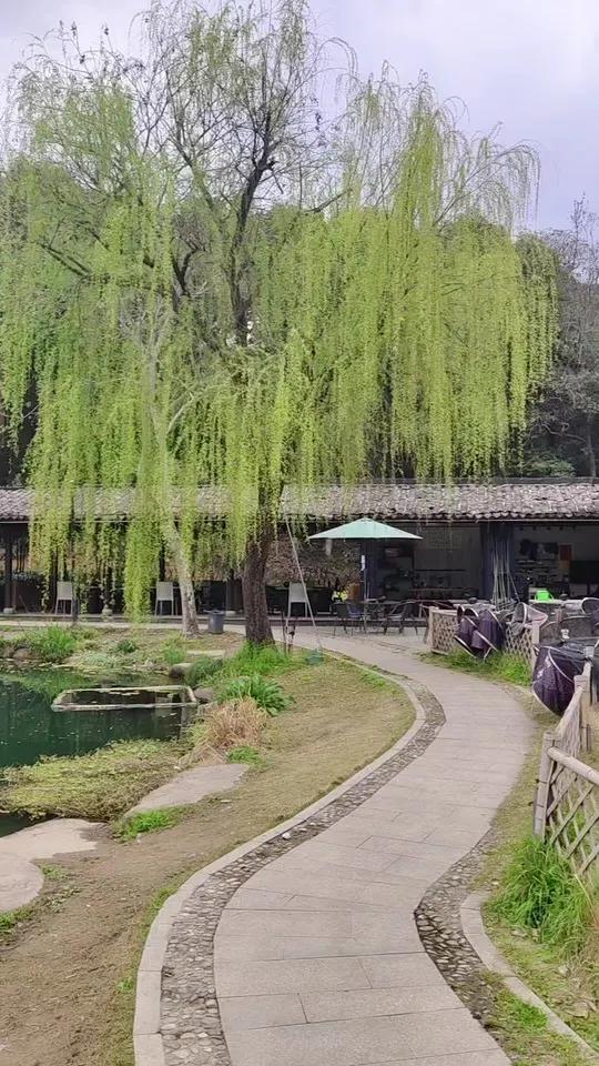 杭州钓鱼去哪里？