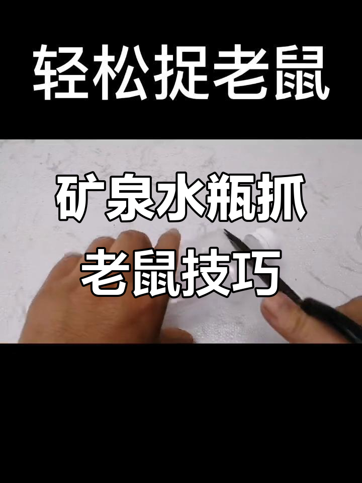 用矿泉水瓶做捕鼠神器,轻松捉住老鼠