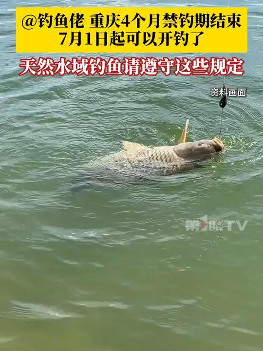 @ 钓鱼佬,重庆为期4个月的禁钓期结束,7月1日起可以开钓了!在重庆天然水域钓鱼需遵守这些