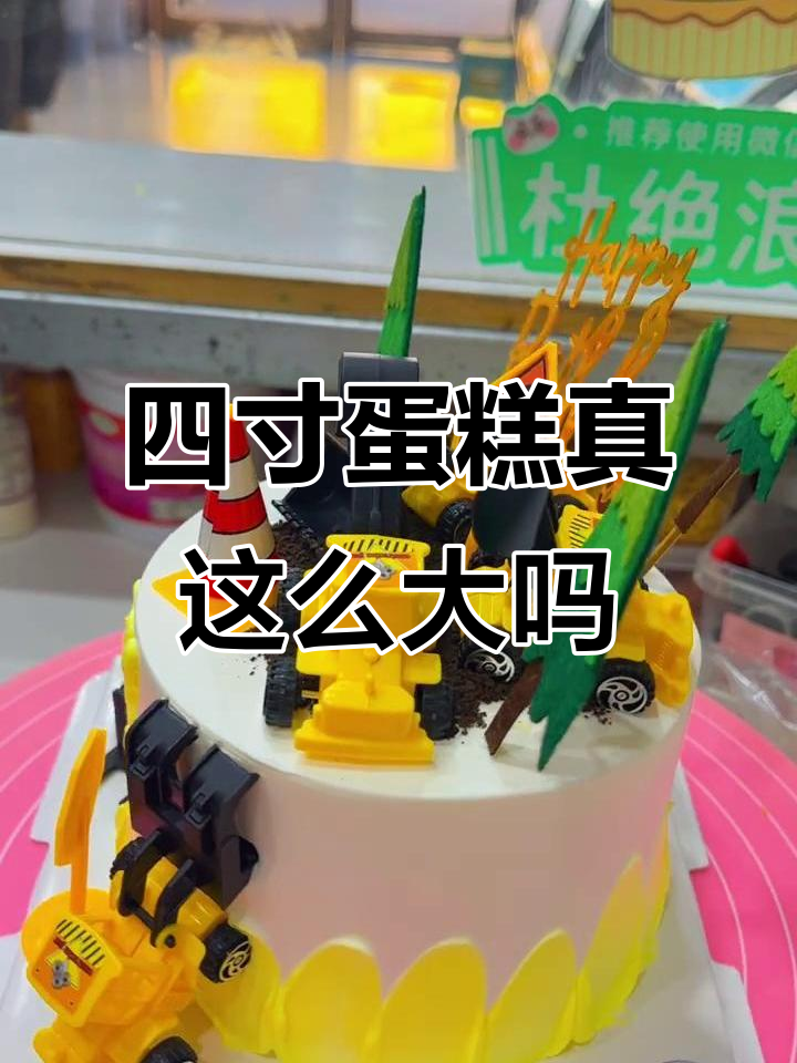 你们觉得这是四寸蛋糕?看看这大小!