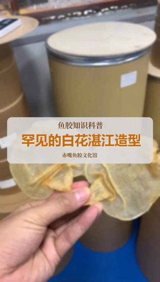 湛江造型的白花胶!