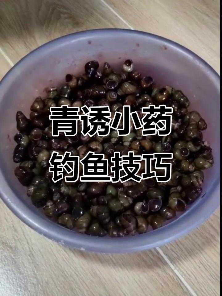 如何用青诱小药钓青鱼?技巧大揭秘