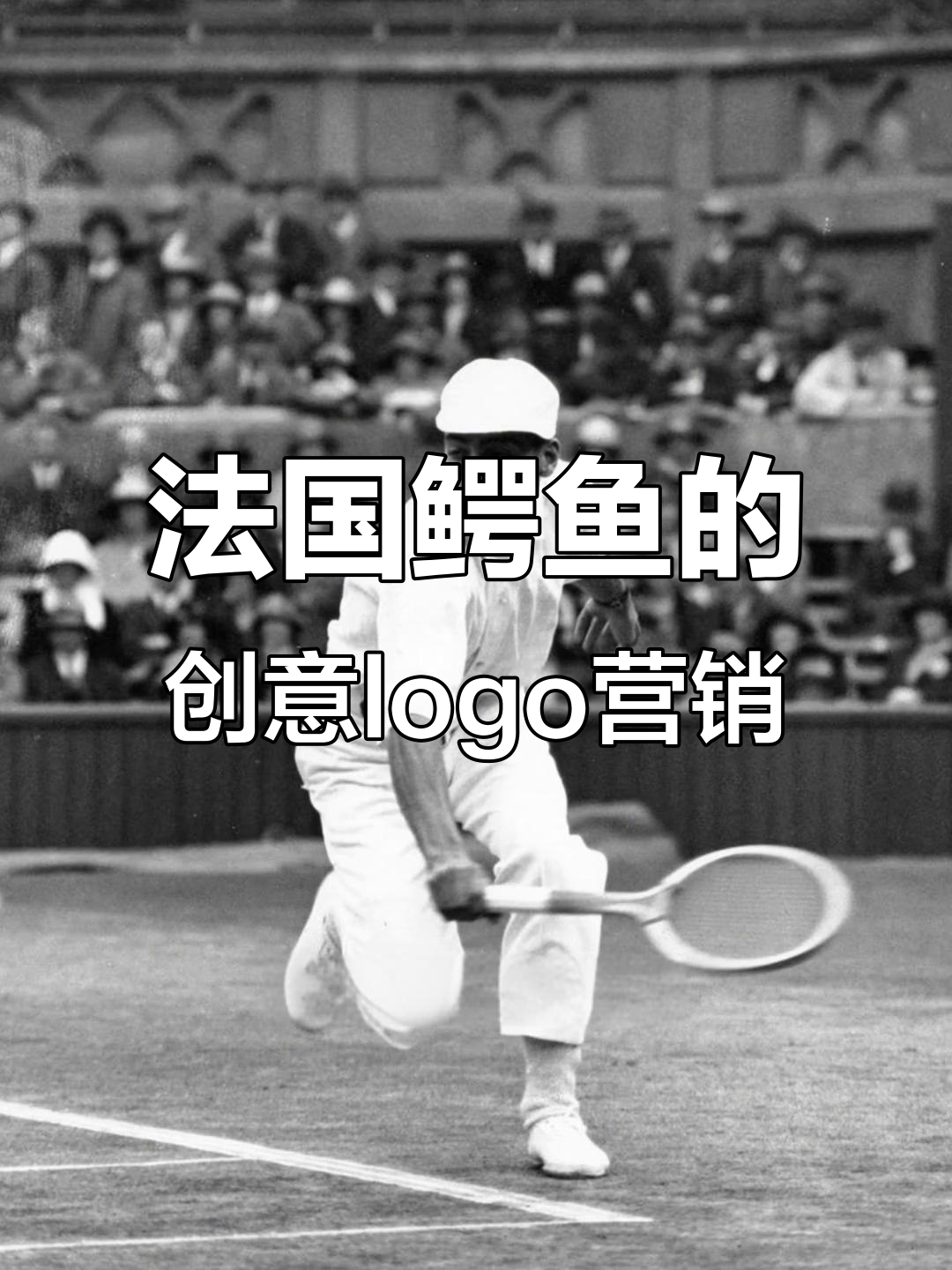 法国鳄鱼如何通过logo营销玩转品牌新高度