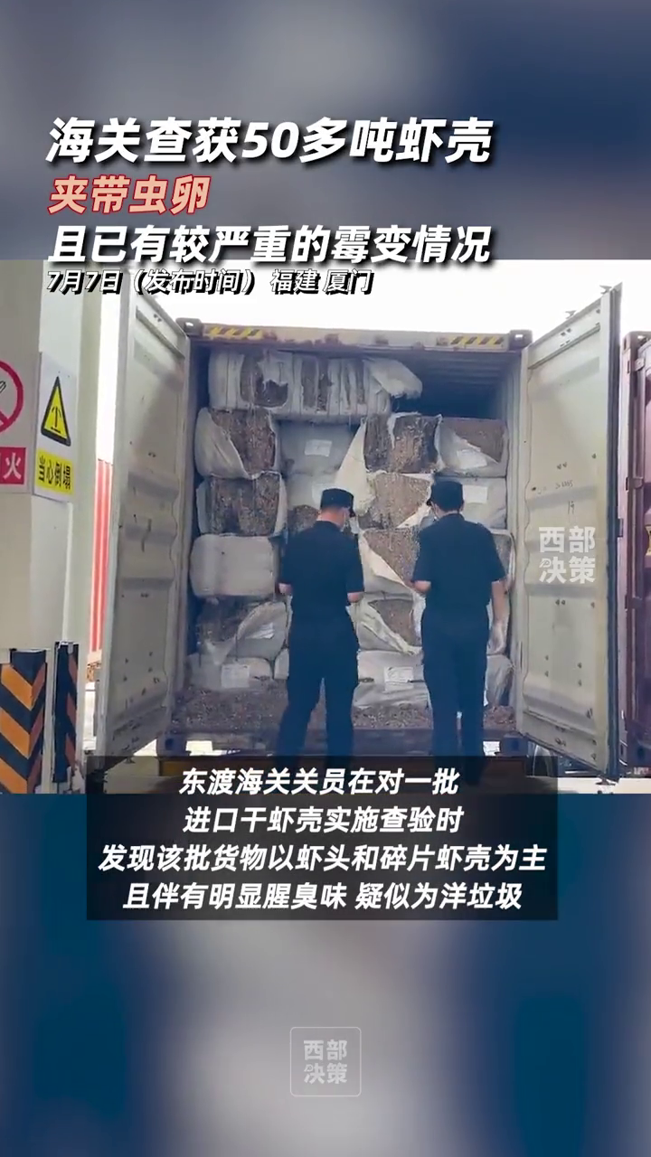 海关查获50多吨发霉虾壳,夹带虫卵,有明显腥臭味