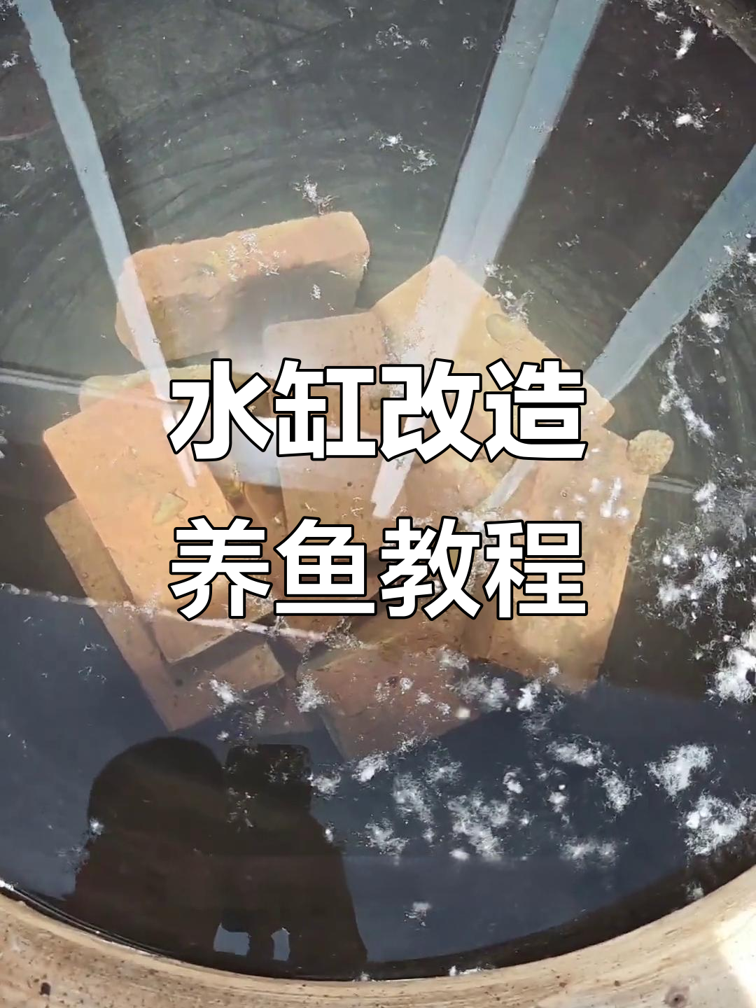 旧水缸变身鱼缸,砖头过滤系统大揭秘